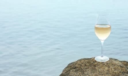 vin iles canarie