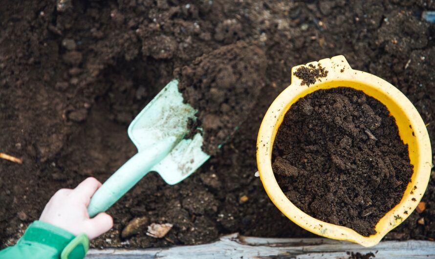 Nos conseils pour réussir à faire son compost