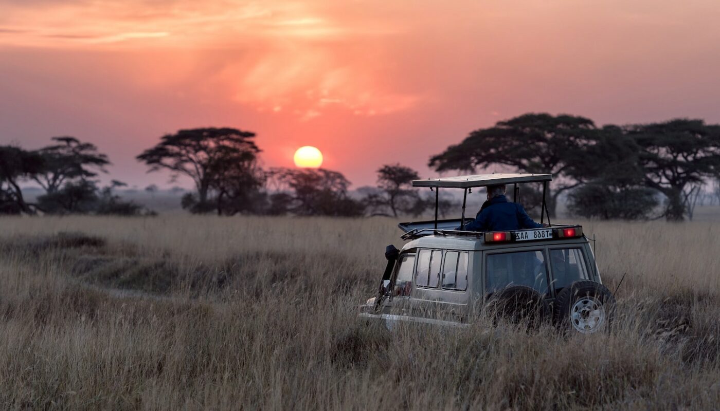 partir Tanzanie