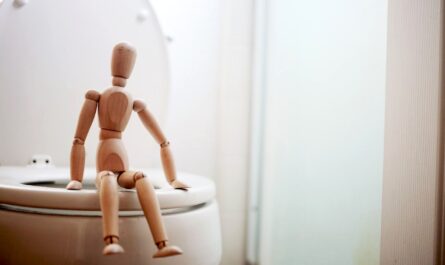 toilettes ecologiques