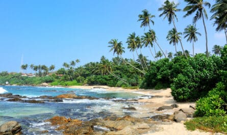 partir au Sri Lanka